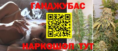 apvp Кингисепп