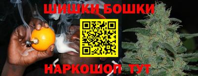 apvp Кингисепп