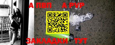 apvp Кингисепп
